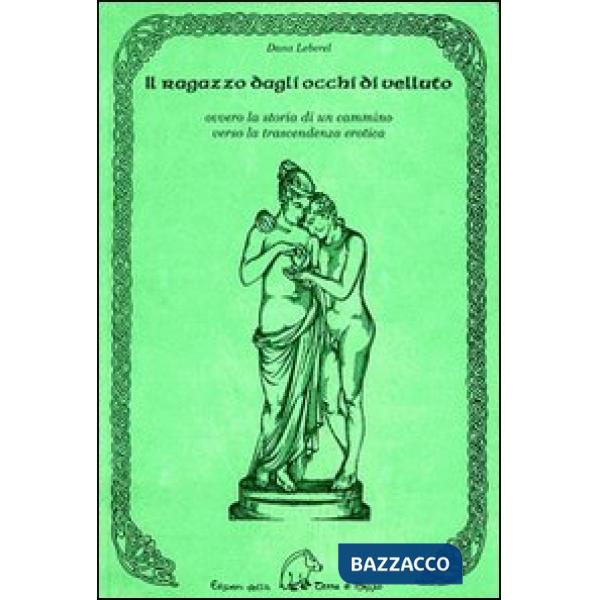 Ragazzo dagli occhi di velluto ovvero la storia di un cammino verso la trascendenza erotica (Il)