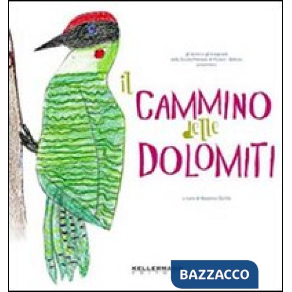 Cammino delle Dolomiti. Ediz. illustrata (Il)