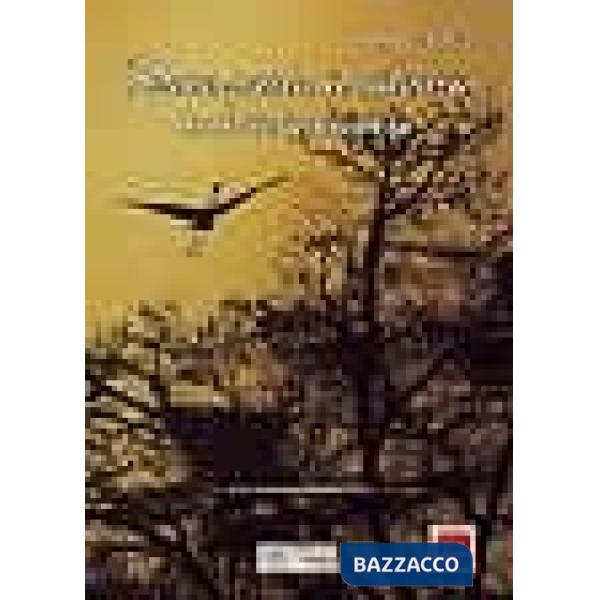 Dove parla il silenzio, la palude brabbia