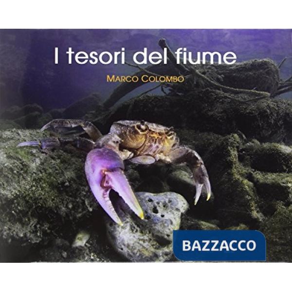 I tesori del fiume