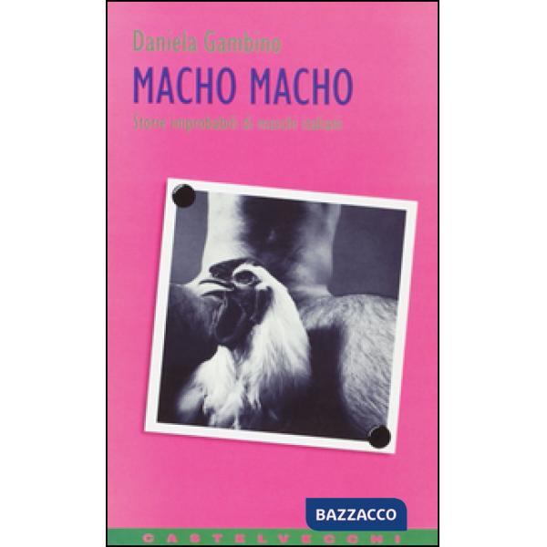 Macho macho. Storie improbabili di maschi italiani