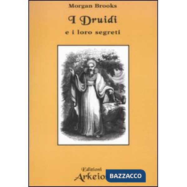 Druidi e i loro segreti (I)