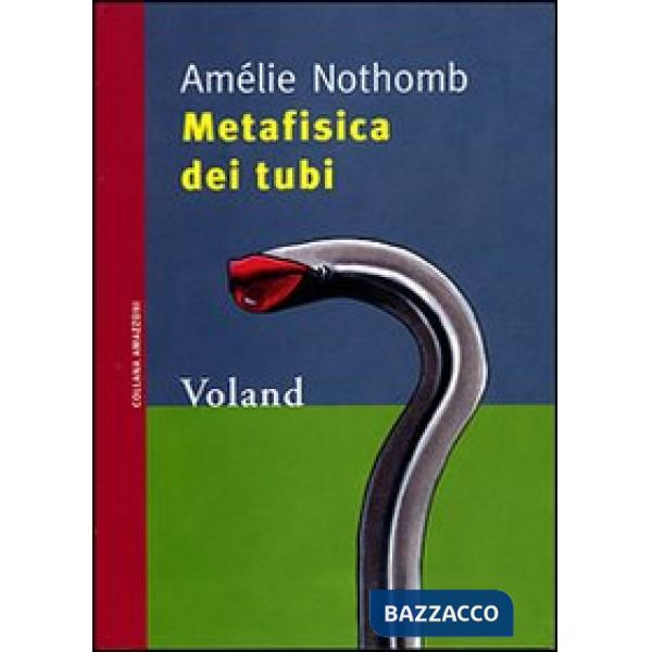 Metafisica dei tubi