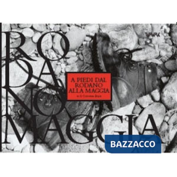 A piedi dal Rodano alla Maggia