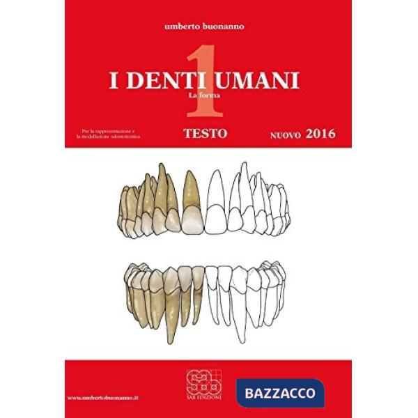 DENTI UMANI 1 (I)