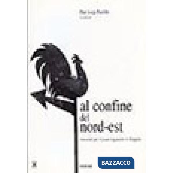 Al confine del nord-est. Materiali per il piano regolatore di Zoppola