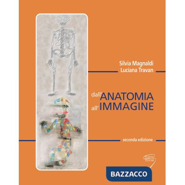 Dall'anatomia all'immagine