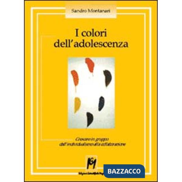 Colori dell'adolescenza. Crescere in gruppo: dall'individualismo alla collaboraz