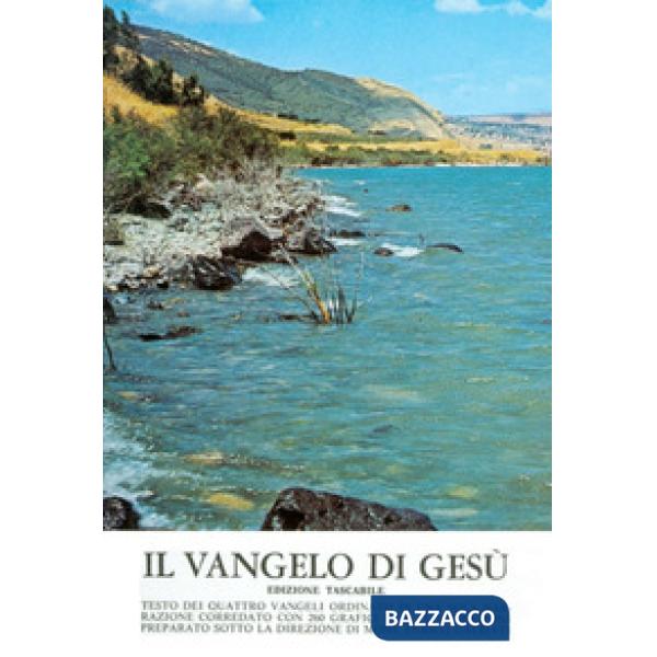 Vangelo di Gesù (Il)