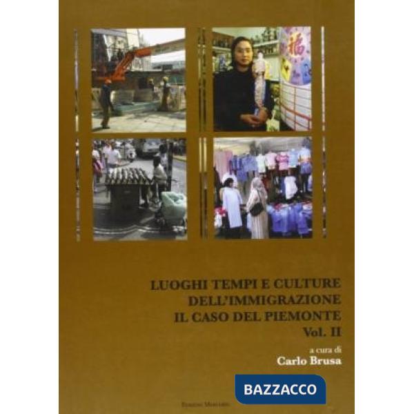 Luoghi, tempi e culture dell'immigrazione. Il caso del Piemonte. Vol. 2