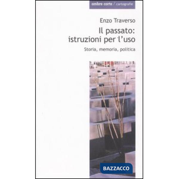 Passato: istruzioni per l'uso. Storia, memoria, politica (Il)