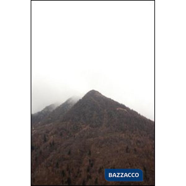 Memory talks. Ediz. illustrata