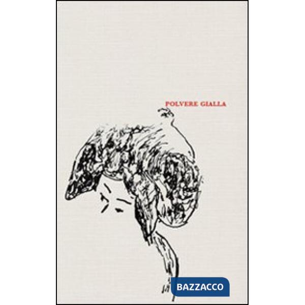 Polvere gialla. La collezione di Lucia e Silvio Arcelloni