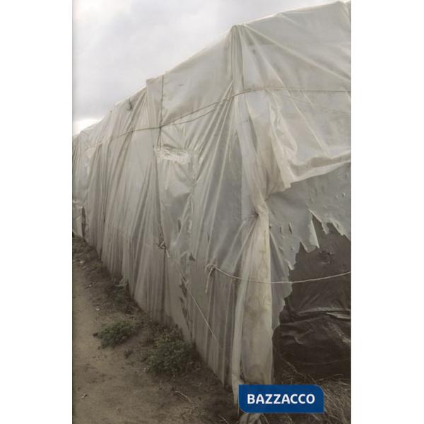 Home. Ediz. illustrata