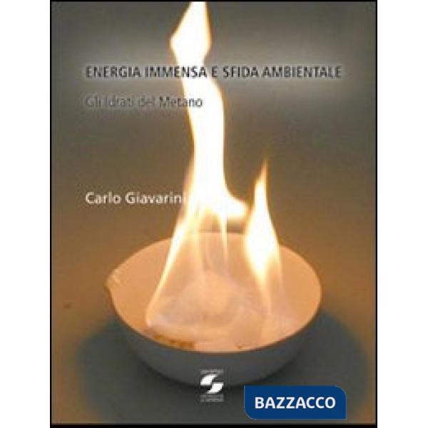 Energia immensa e sfida ambientale. Gli idrati del metano