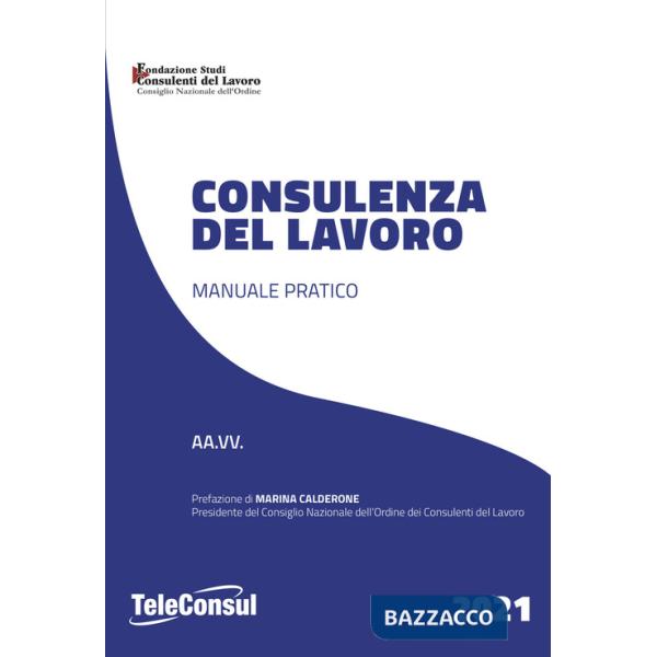 Consulenza del lavoro. Manuale pratico