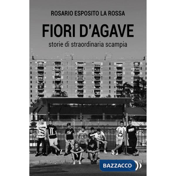 Fiori d'agave. Storie di straordinaria Scampia