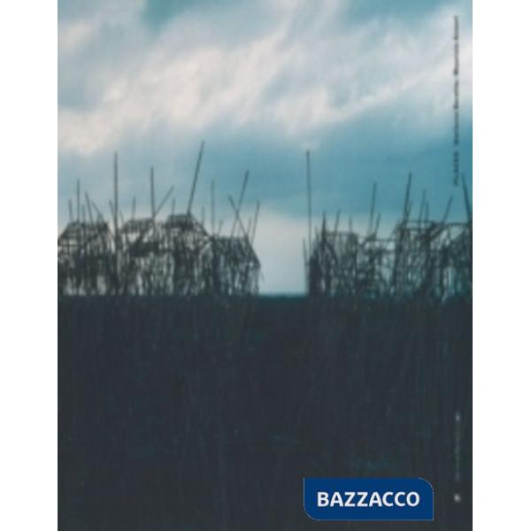 Stefania Beretta e Maurizio Anzeri. «Places». Scenari del reale e cattedrali della mente