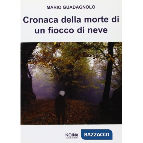 Cronaca della morte di un fiocco di neve