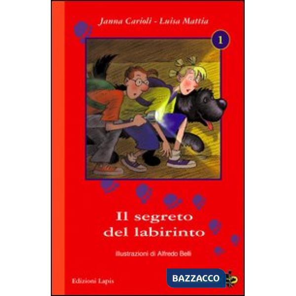 Segreto del labirinto (Il)