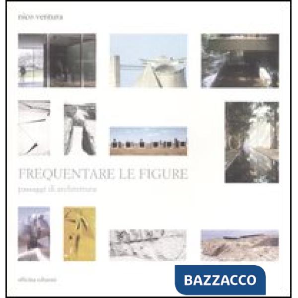 Frequentare le figure. Passaggi di architettura