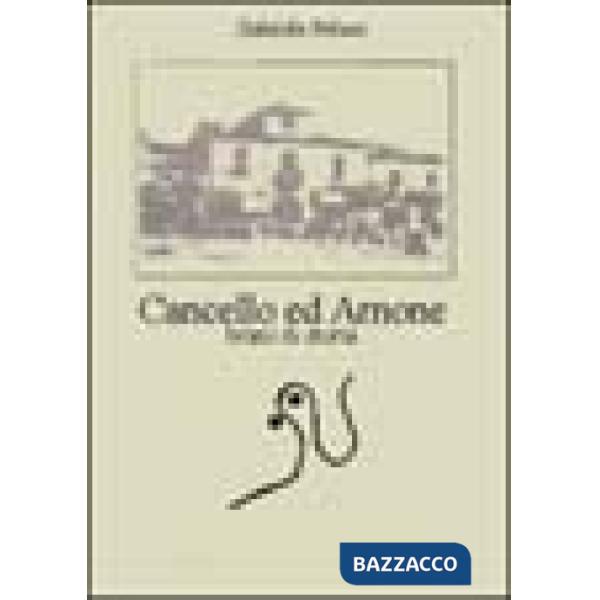Cancello ed Arnone. Brani di storia