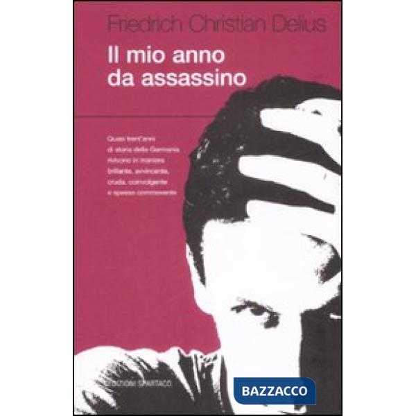 Mio anno da assassino (Il)