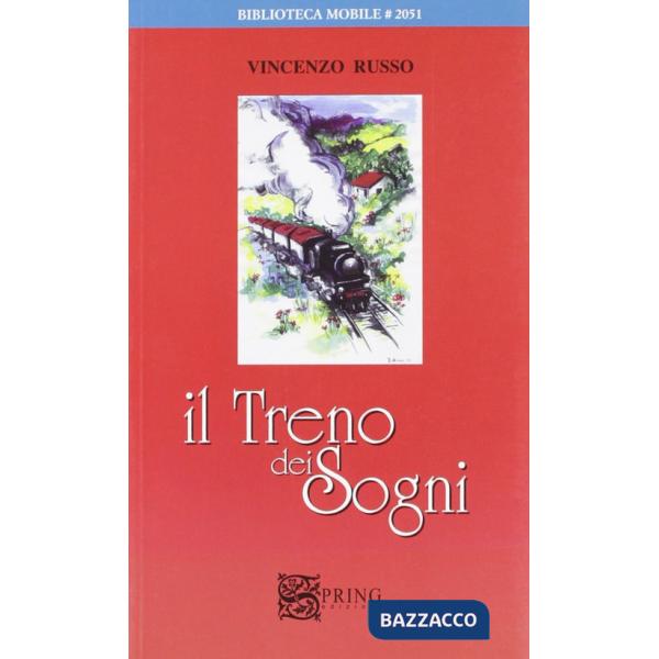 Treno dei sogni. Un viaggio a Lourdes tra fede e allegria (Il)