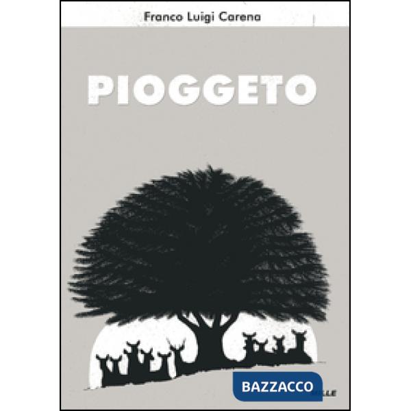 Pioggeto