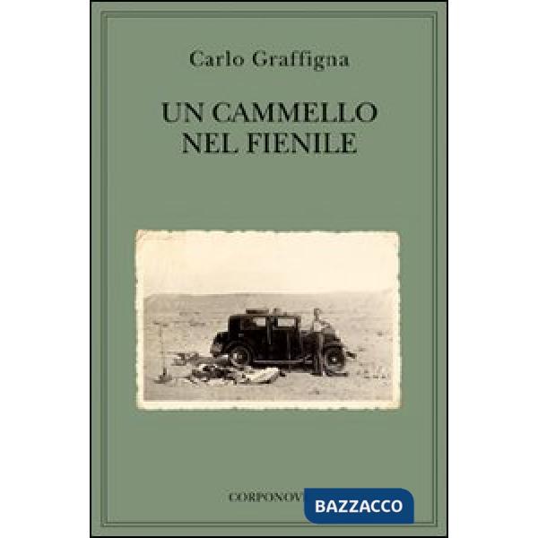Cammello nel fienile (Un)