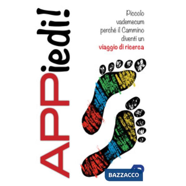 Appiedi! Piccolo vademecum perché il cammino diventi un viaggio di ricerca. Ediz. illustrata