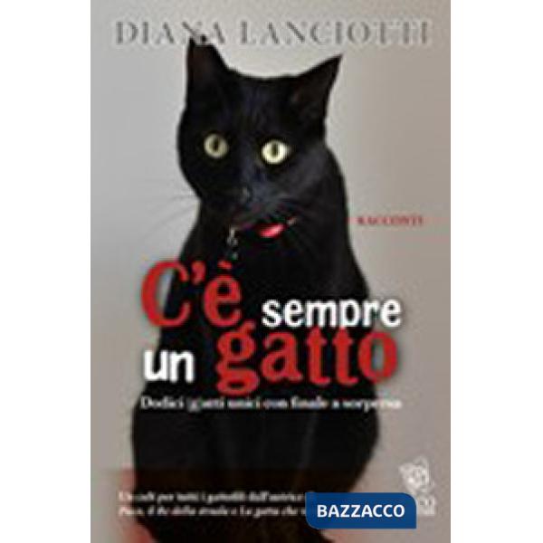 C'è sempre un gatto. Dodici gatti unici con finale a sorpresa