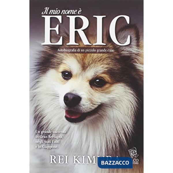 Mio nome è Eric (Il)