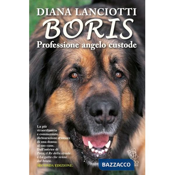 Boris. Professione angelo custode