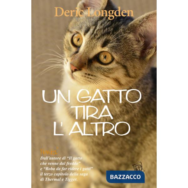 Gatto tira l'altro (Un)