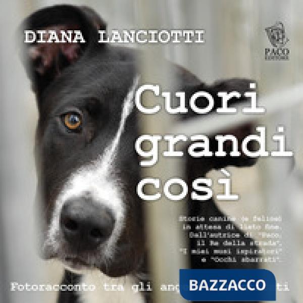 Cuori grandi così. Fotoracconto tra gli angeli dimenticati