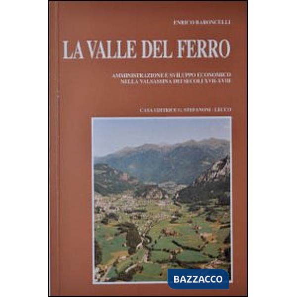Valle del ferro. Amministrazione e sviluppo economico nella Valsassina dei secoli XVII-XVIII (La)