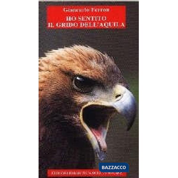 Grido dell'aquila (Il)