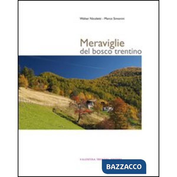 Meraviglie del bosco trentino. Ediz. illustrata