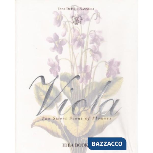 Viola. The sweet scent of flowers