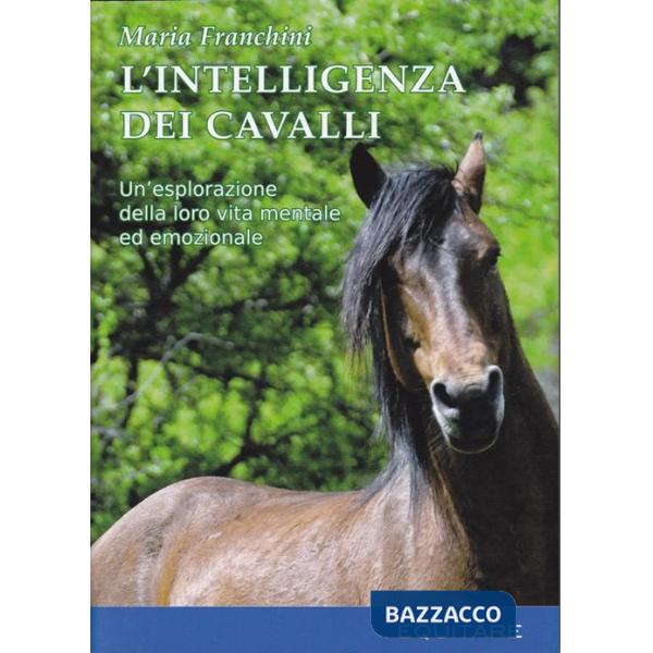 Intelligenza dei cavalli (L')