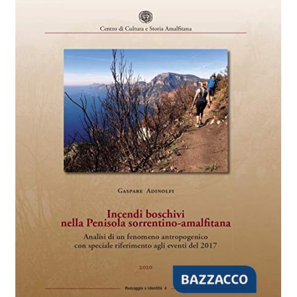 Incendi boschivi nella Penisola sorrentino-amalfitana. Analisi di un fenomeno antropogenico con speciale riferimento agli eventi