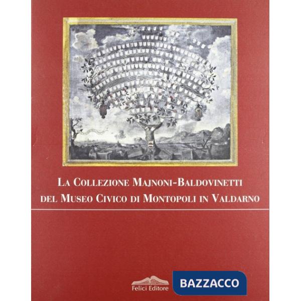 Collezione Majnoni Baldovinetti del Museo civico di Montopoli in Valdarno (La)