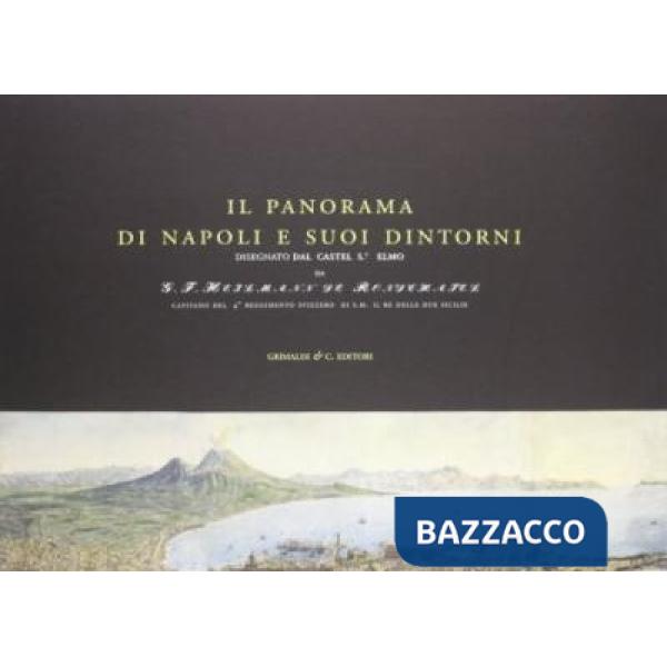 Panorama di Napoli e suoi dintorni (Il)
