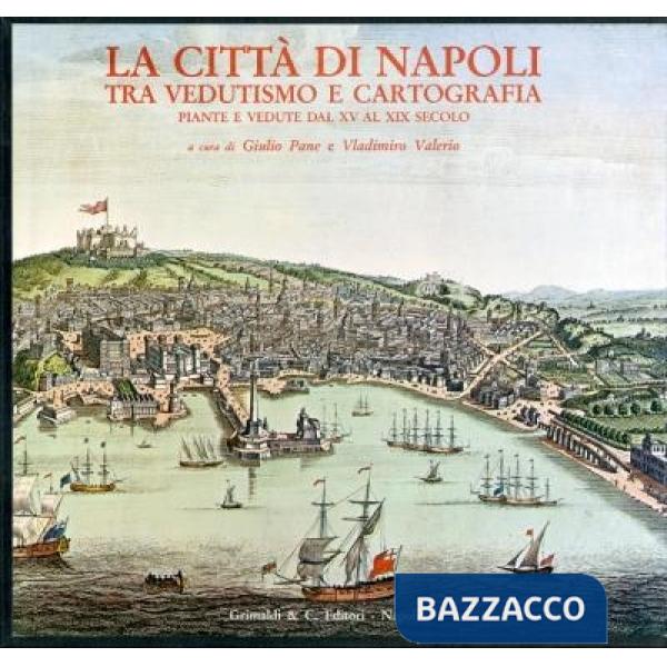 Città di Napoli tra vedutismo e cartografia. Piante e vedute a stampa dal XV al 