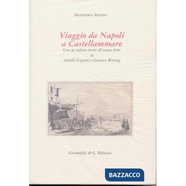Viaggio da Napoli a Castellammare con 42 vedute incise all'acquaforte da Achille Gigante a Gustavo Witting