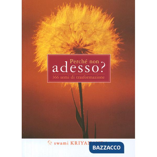 Perché non adesso? 366 semi di trasformazione