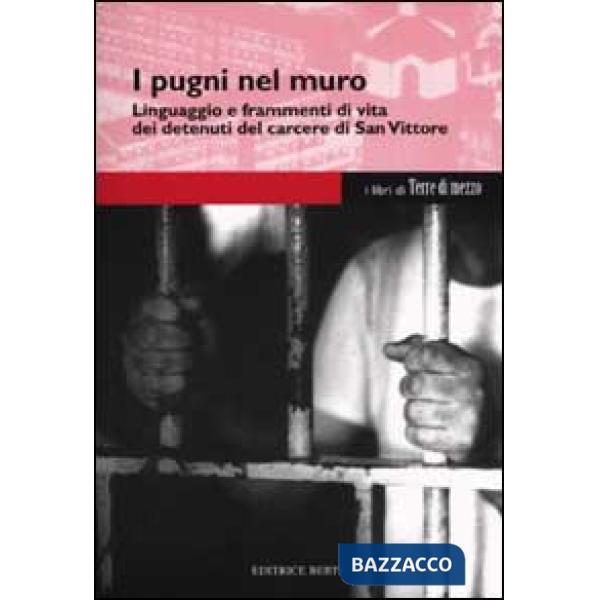 Pugni nel muro. Linguaggio e frammenti di vita dei detenuti del carcere di San V