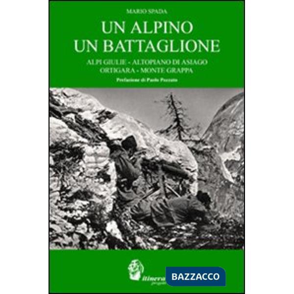 Alpino un battaglione. Alpi Giulie, Altopiano di Asiago, Ortigara, Monte Grappa (Un)