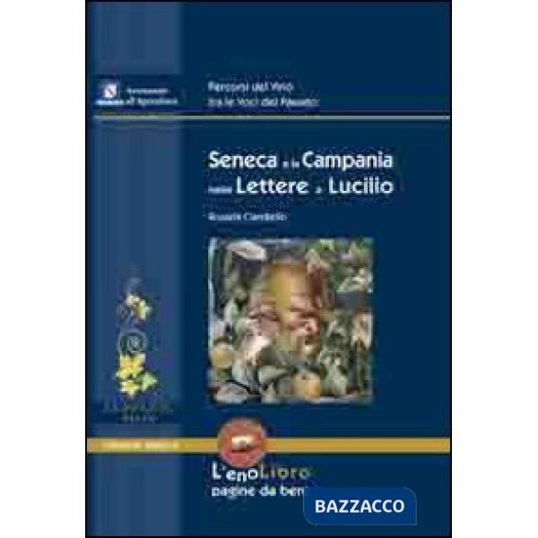 Seneca e la Campania nelle lettere di Lucilio